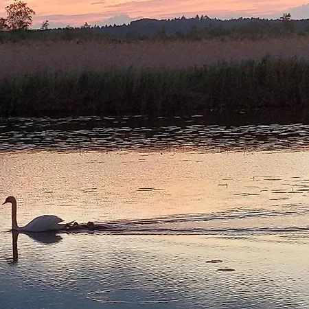 Appartement Gaestehaus Federseeflair Bad Buchau
